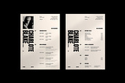 Professional CV, Resume Template, a Resume Template by DesignCrest (Thumbnail 4 of 9)
