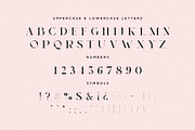 Oakleaf - Elegant & Unique Serif, a Serif Font by Mikhail Fukurou (Thumbnail 7 of 9)