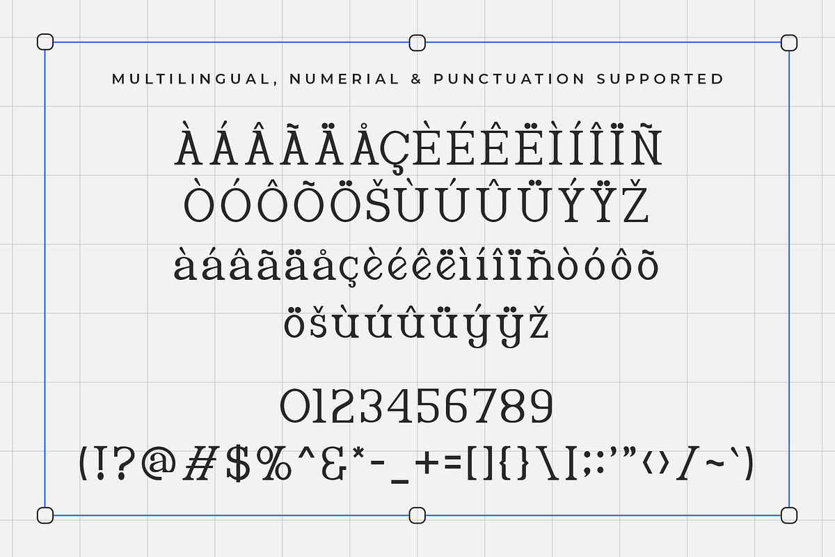 Fabious-Modern Classy Serif Typeface, a Serif Font by overlaytemplates (Photo 5 of 5)