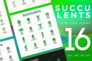 Succulents | 16 Thin Line Icons, an Outline Icon by Alex Blogoodf
