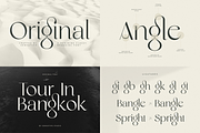 Unique Branding Modern Font Bundle, a Serif Font by Sensatype (Thumbnail 12 of 13)