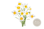 Daffodils Bouquets., an Object Graphic by Peolla (Thumbnail 1 of 9)