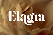 Elagra - Elegant Stencil Serif Font, a Serif Font by Sign Studio (Thumbnail 1 of 15)