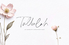 Tallulah Signature Script