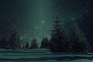 Night winter landscape and stars