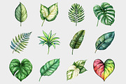 Tropical Leaves Clipart, a Seasonal Illustration by Design Market (Thumbnail 2 of 4)