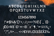 Melton Bronze Timeless Display Serif, a Serif Font by Storytype Studio (Thumbnail 13 of 15)