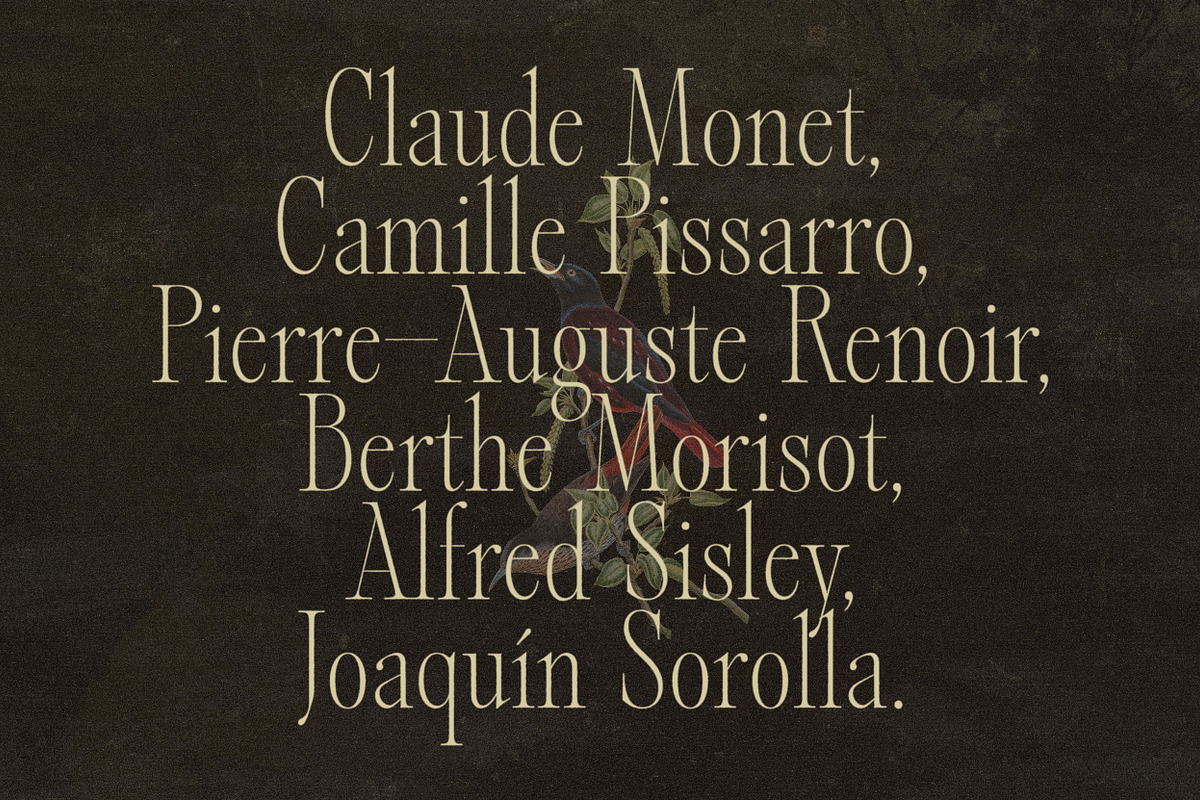 Alizee - Classy Hybrid Serif, a Serif Font by Harmonais Visual (Photo 17 of 29)