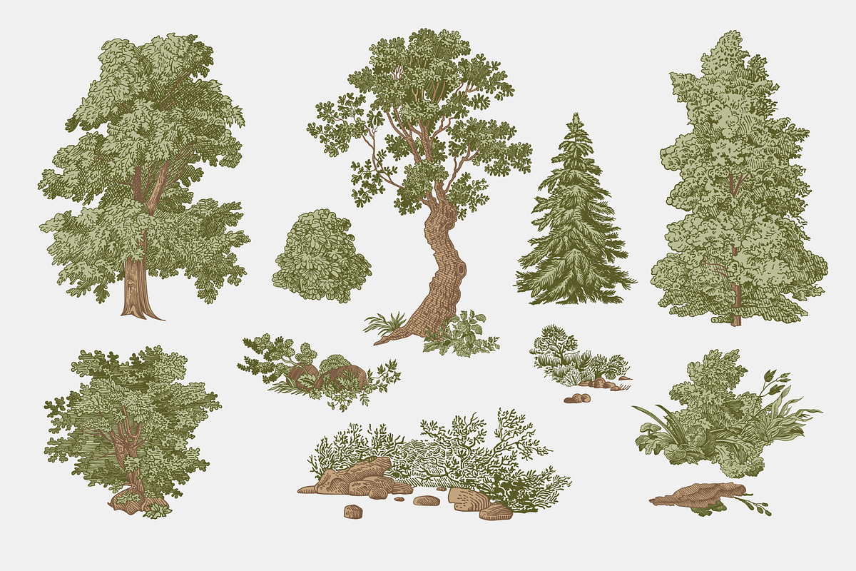 Woodland, a Decorative Illustration by olga.korneeva (Photo 3 of 12)