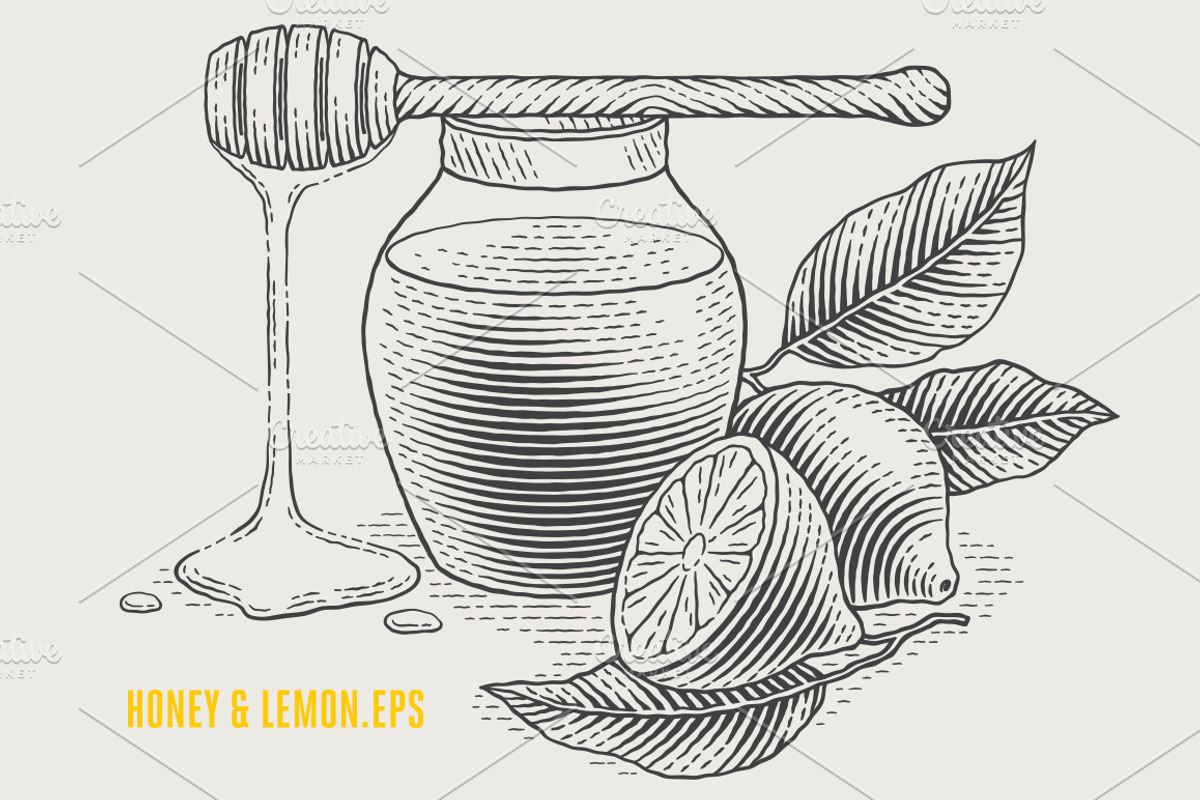 Herbs Bundle engravings, a Food Illustration by Irina Trusova (Photo 9 of 9)