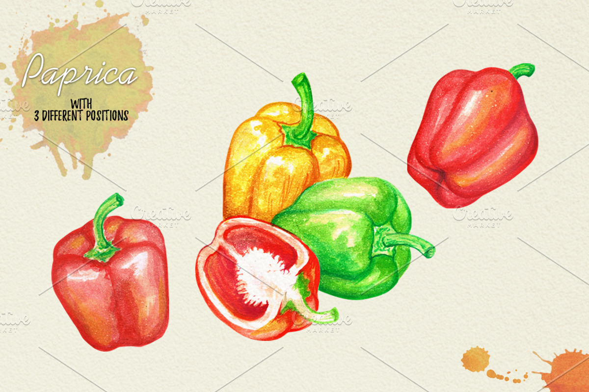 North American Herbs, a Food Illustration by Graphobia (Photo 16 of 21)