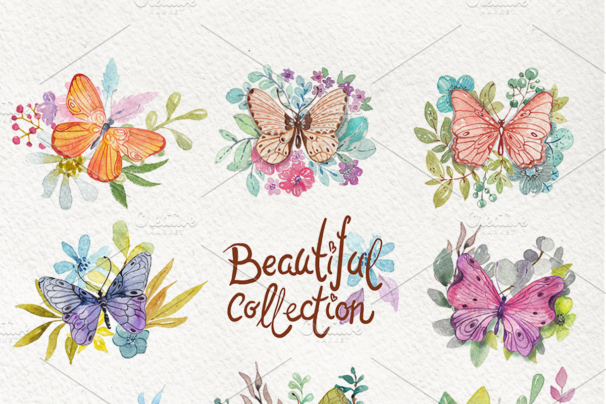 Butterflies and plants, collection, an Illustration by JaneLane (Photo 3 of 5)