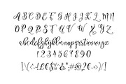 Eszty Script Font, a Script Font by Digital Typeface Studio (Thumbnail 5 of 6)