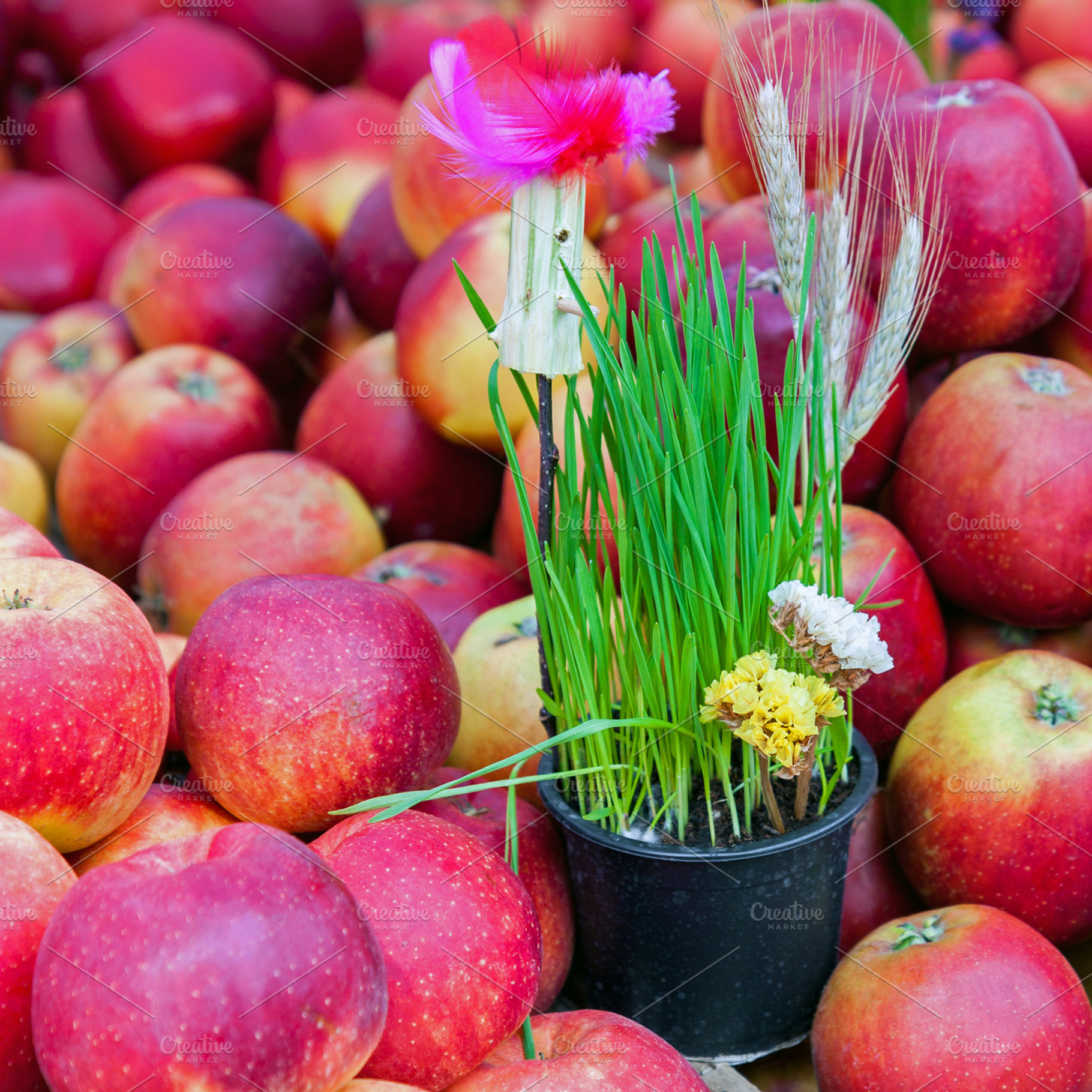 Springtime decoration and red apples, a Food & Drink Photo by BOOCYS