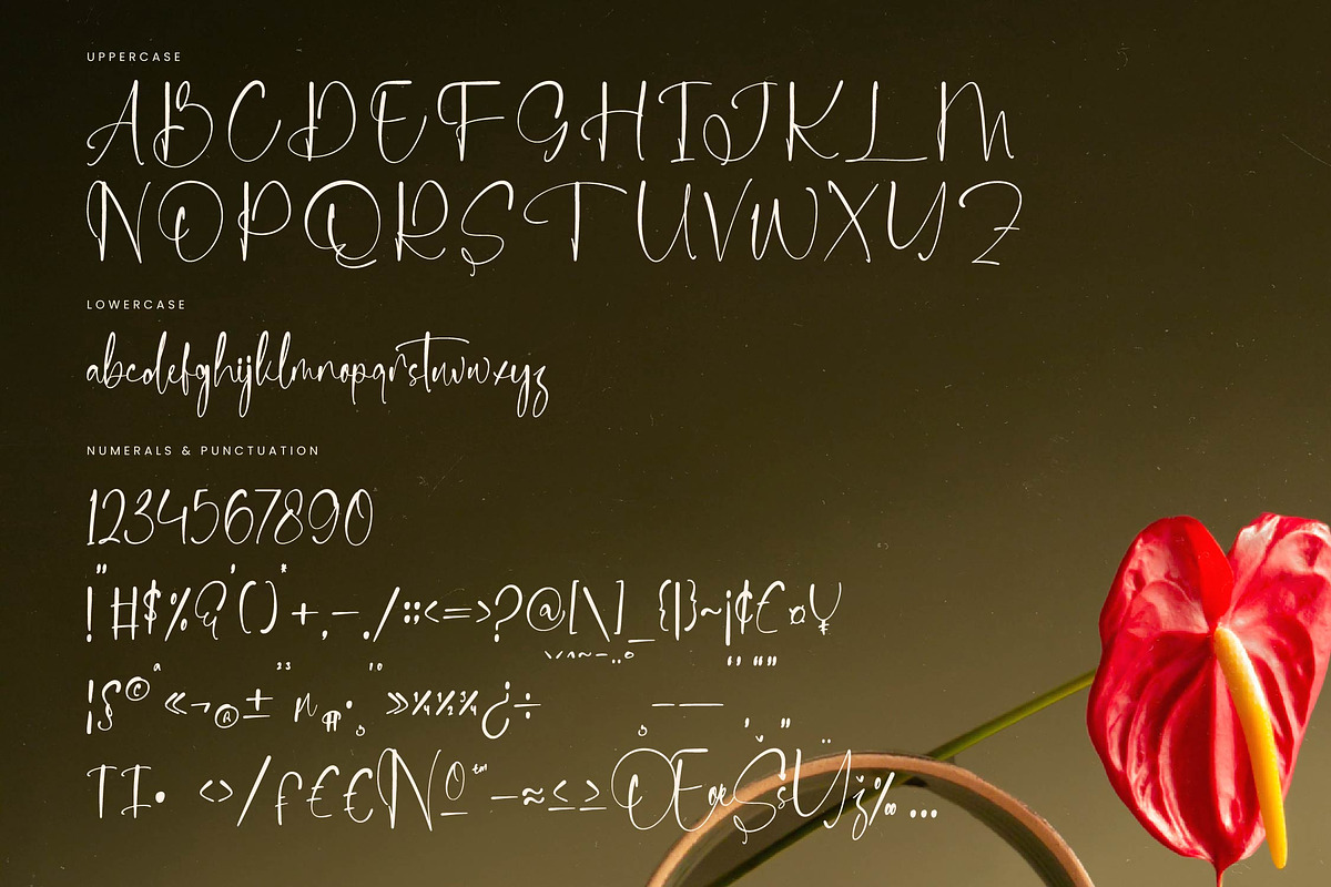Delicately Stylish Handwritten Font, a Serif Font by stylishtype.co (Photo 18 of 20)