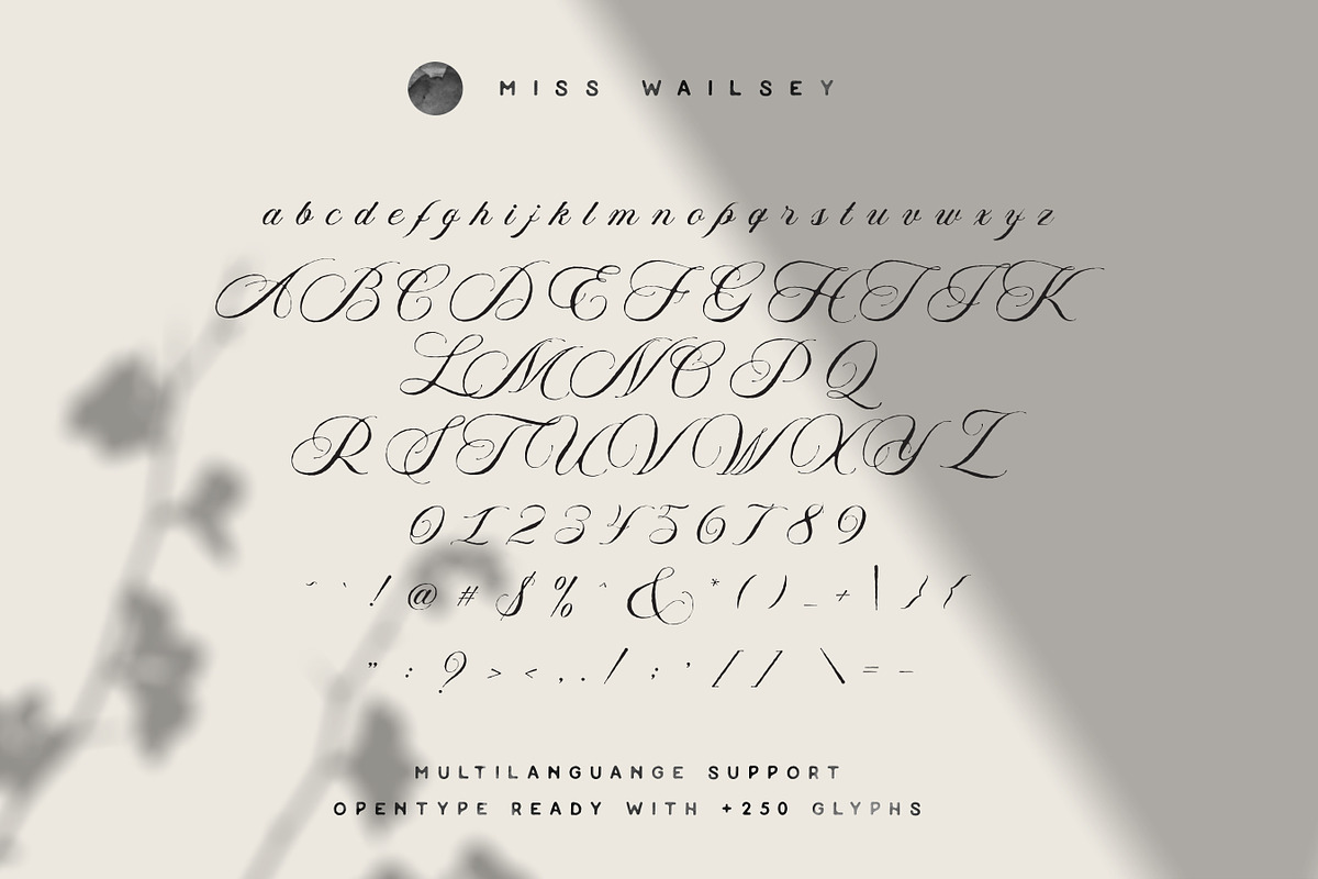 Miss Wailsey | Organic Calligraphy preview 7