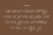 Auckland Elegance Script, a Script Font by Muntab_Art (Thumbnail 9 of 10)