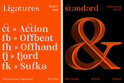 Thalore, a Serif Font by Slex Studio (Thumbnail 12 of 14)