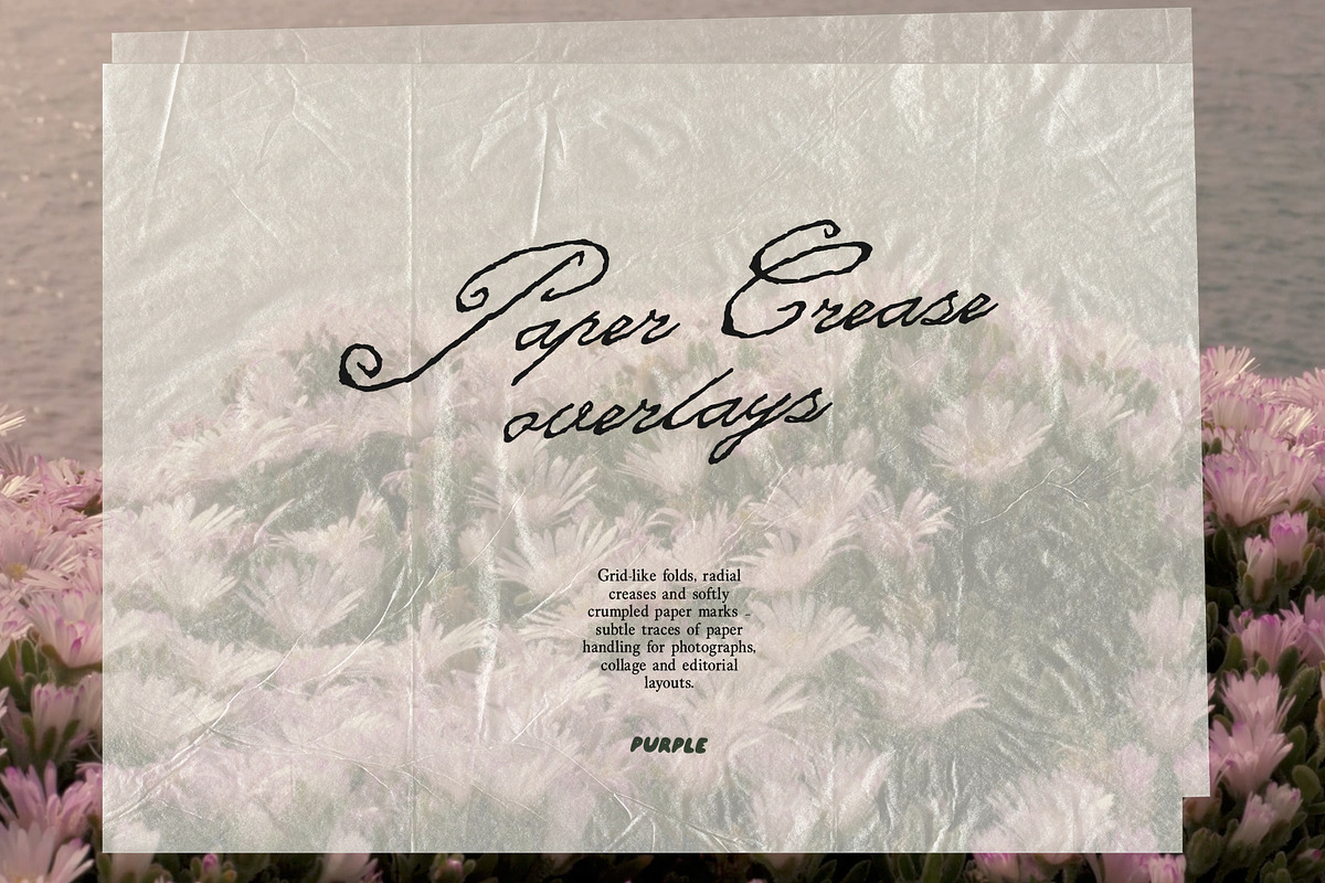 Paper Crease Overlays, a Texture Graphic by Purple (Photo 3 of 13)