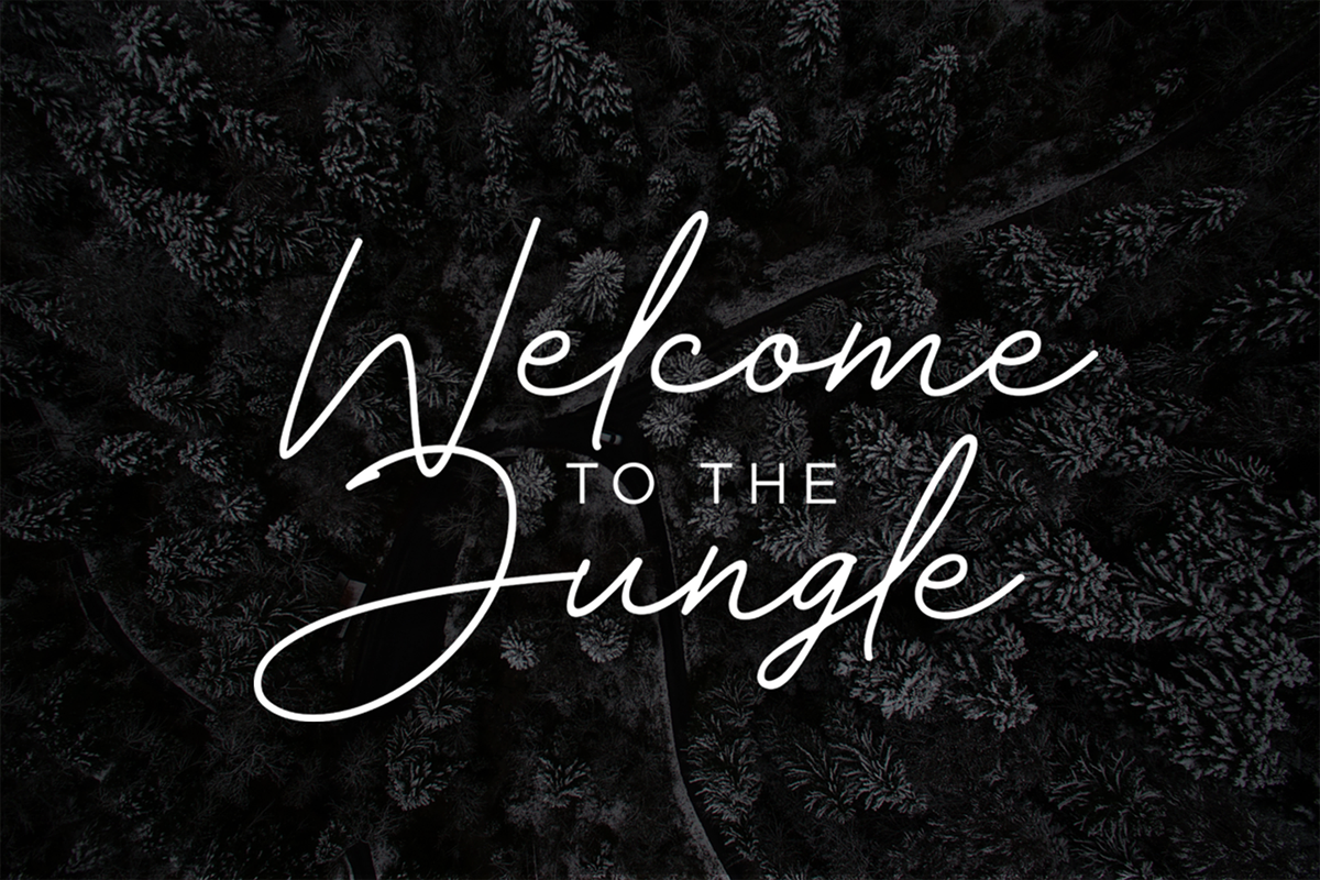 Velocity - Elegant Signature, a Script Font by hastatypestd (Photo 9 of 10)