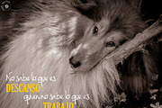 TEHZETA font (commercial use), a Font by Melissa Thereliz (Thumbnail 3 of 3)