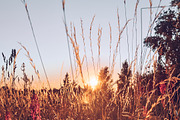BRIGHT SUMMERS MOBILE LR PRESET, a Preset Add-On by Fltrr Lightroom Presets (Thumbnail 5 of 14)