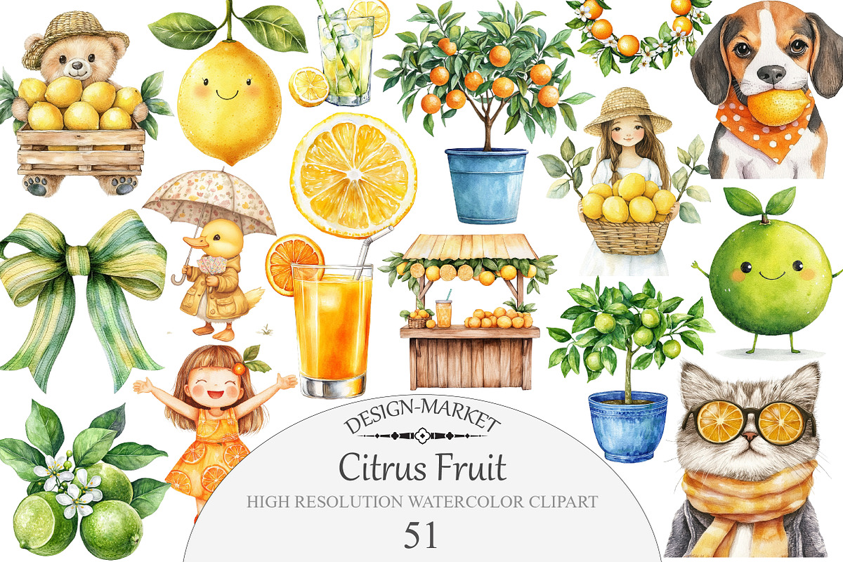Citrus Fruit Clipart, an Illustration by Design Market (Photo 1 of 5)