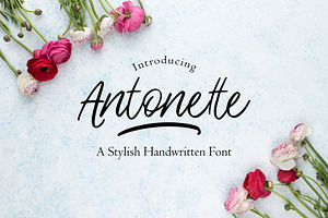 Antonette - Handwritten Font