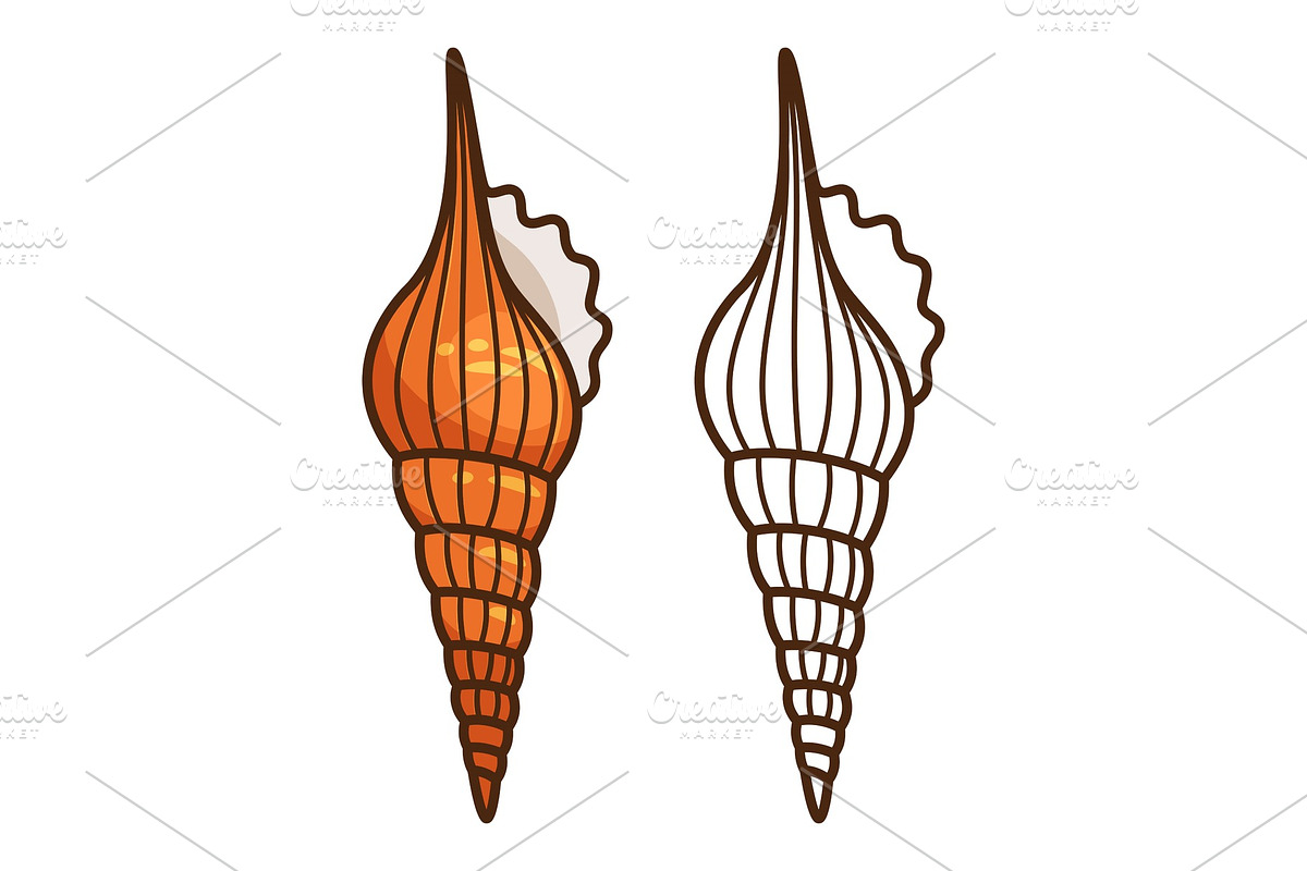 Cartoon sea shell kids coloring page, an Education Illustration by ...