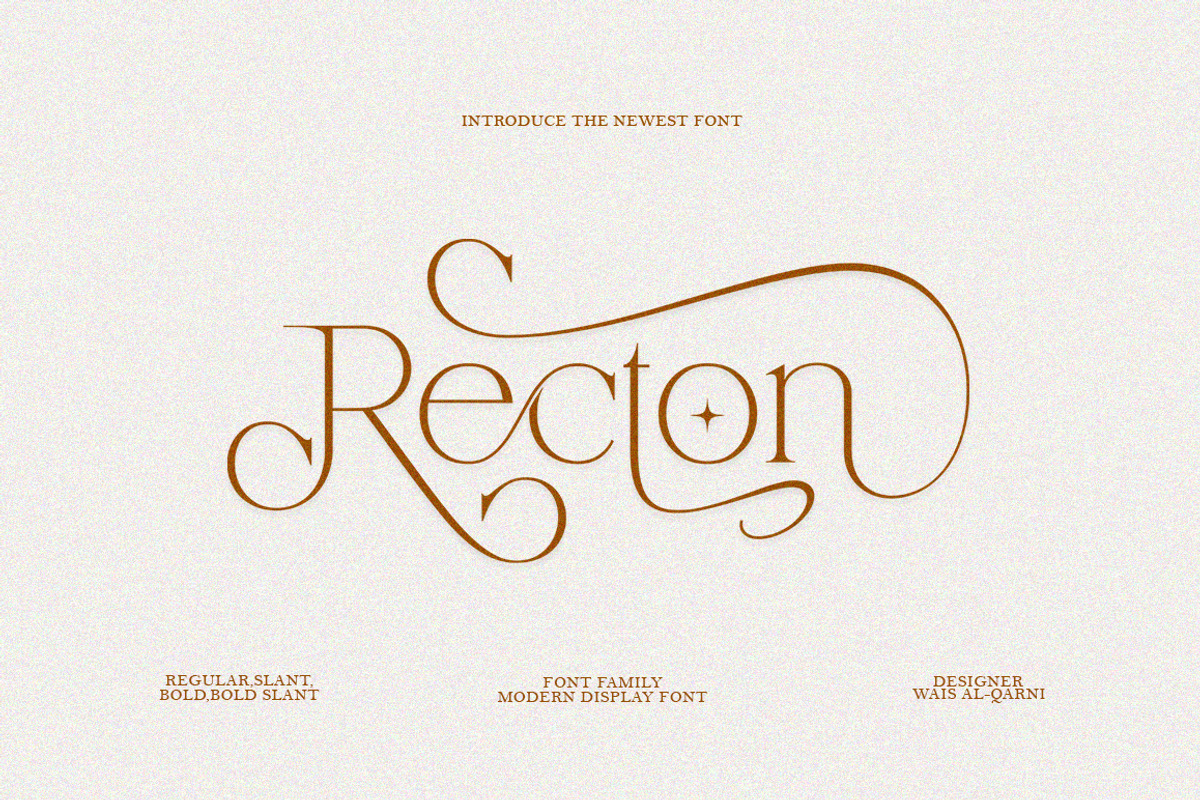 Recton, a Sans Serif Font by Ws Studio (Photo 1 of 10)