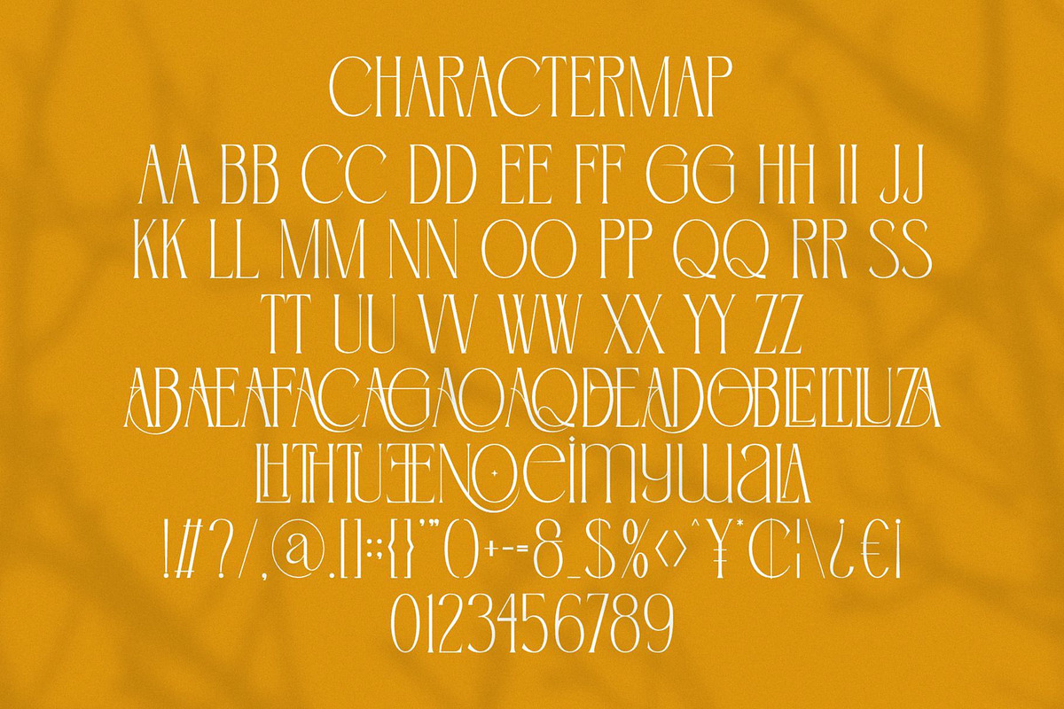 Aginers || Elegant Serif Font, a Serif Font by Ermedia Studio (Photo 10 of 10)
