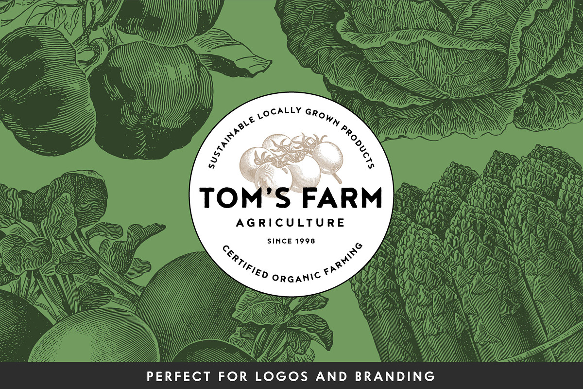 220 Vintage Vegetable Illustrations, a Food Illustration by Graphic Goods (Photo 5 of 12)