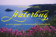 Waterbug, a Script Font by danti (Thumbnail 1 of 7)