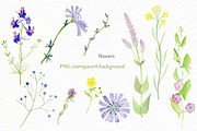 Wild flowers watercolor set, a Background Graphic by Elegantia (Thumbnail 3 of 15)