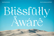 Eleyna Rough, a Serif Font by Craft Supply Co. (Thumbnail 4 of 8)