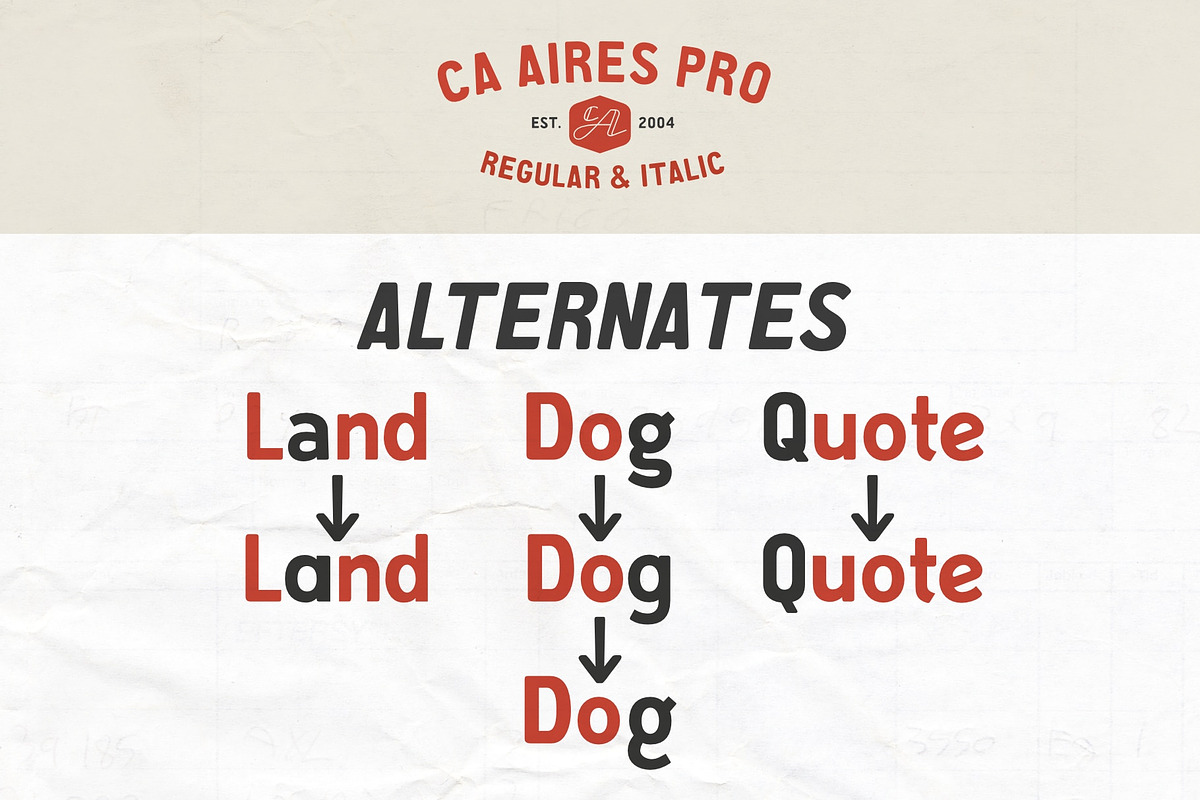 CA Aires Pro, a Sans Serif Font by Cape Arcona Type Foundry (Photo 5 of 7)