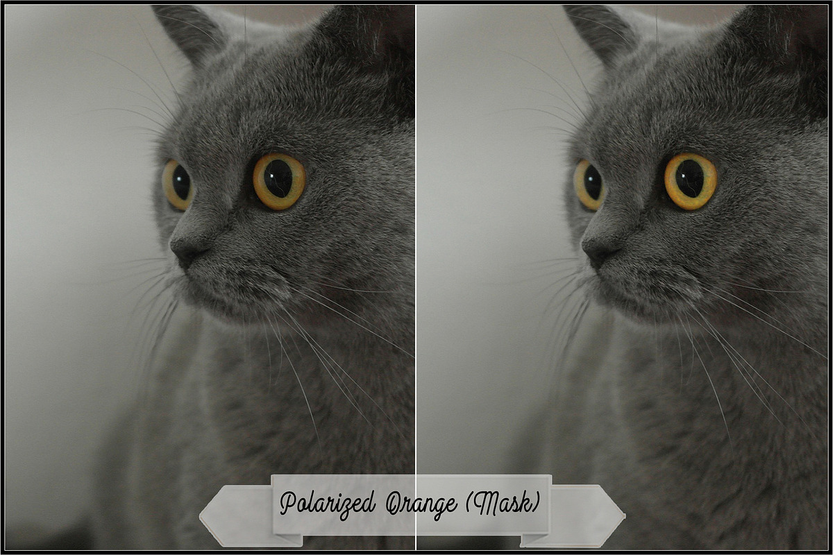 Polarizers By Colors Actions preview 3