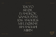 TAN - The Whistling, a Serif Font by TanType (Thumbnail 12 of 35)