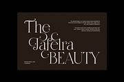 Amazing Luxury Ligature Serif Font, a Serif Font by Perfectype (Thumbnail 6 of 8)