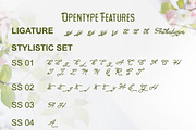 Anthalucya Monoline Script font, a Script Font by Anomali Creatype (Thumbnail 9 of 13)
