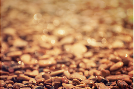 Sea pebble background, an Abstract Photo by Nature and travel