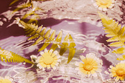 Time-Zero Polaroid (Expired) Presets, an Action Add-On by Daily Studio (Thumbnail 7 of 10)