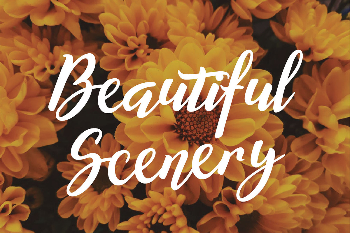 Willynta Script, a Script Font by Patria Ari (P4tcreativa) (Photo 11 of 13)