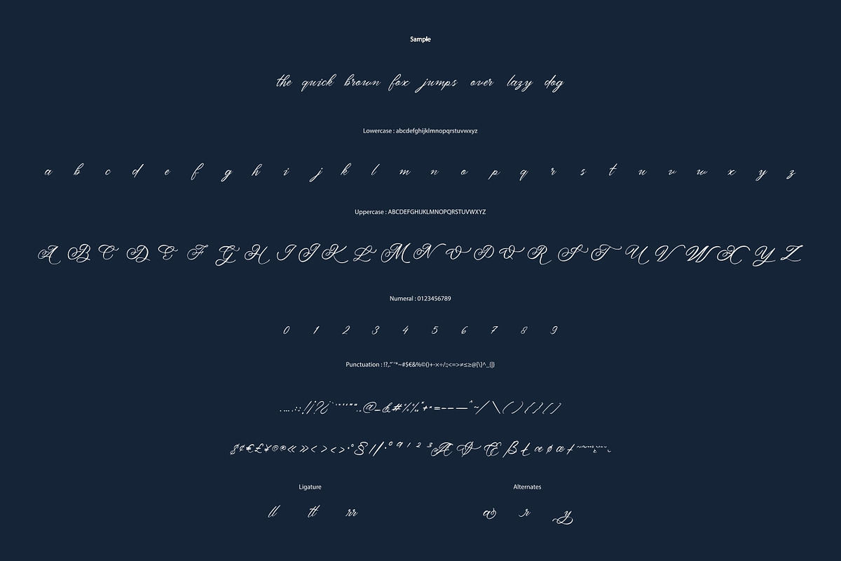 Christtinay - Modern Calligraphy, a Font by VUNIRA (Photo 2 of 6)