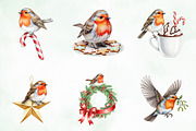 Christmas Robin Bird PNG Clipart, an Illustration by Creative Art (Thumbnail 3 of 10)
