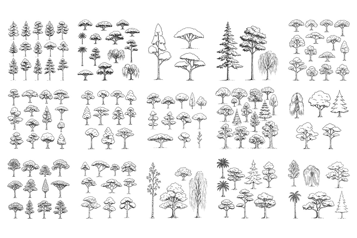 Architectural, Landscape Vector Tree, an Object Graphic by MkStudio