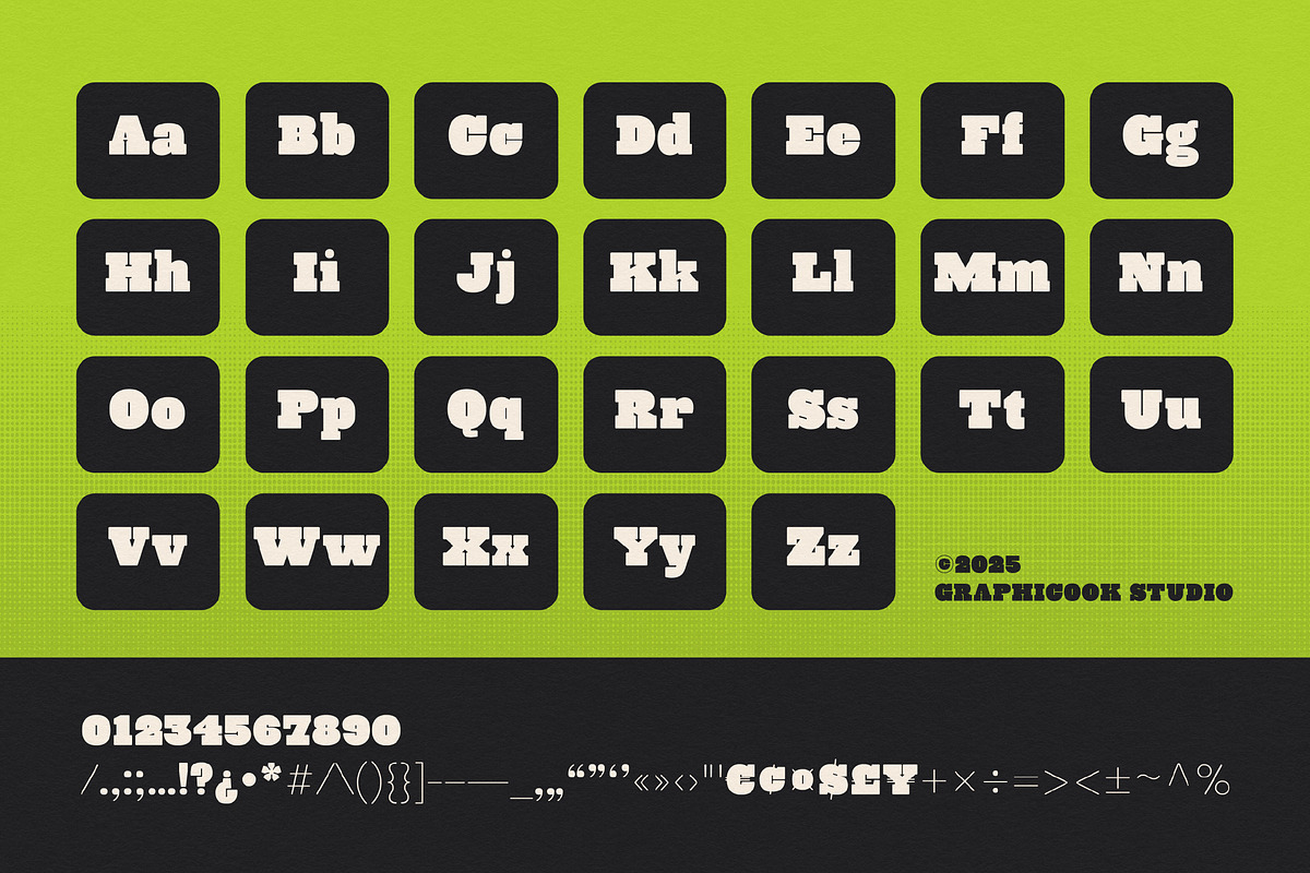 Bloxerif, a Serif Font by graphicook (Photo 3 of 10)