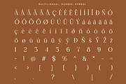 Moistly Vengions - Modern Serif Font, a Serif Font by RagamKata (Thumbnail 10 of 10)