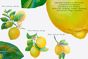 Lemons, Pomegranates elements, frame, an Object Graphic by Alena Lazareva (Thumbnail 3 of 10)