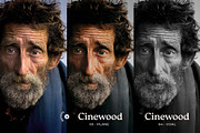 Cinewood Lightroom Presets, a Preset Add-On by Presetrain Co. (Thumbnail 8 of 10)